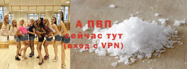 мяу мяу мука Белокуриха