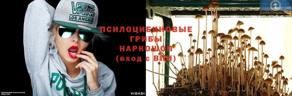 мяу мяу мука Белокуриха